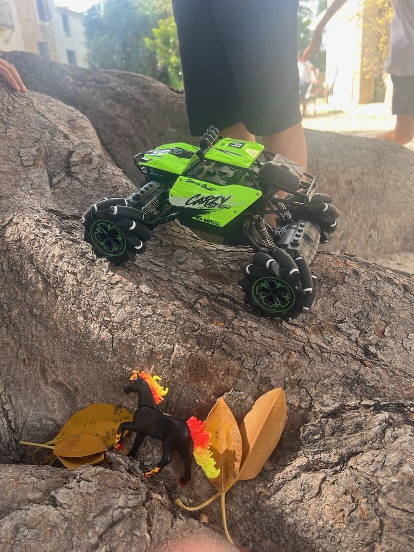 A learner's photo of a green toy car and a flaming-maned horse on rocks